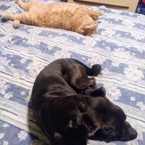 Meet your Posher, Grant